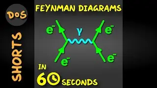 Can I Explain Feynman Diagrams In 60 Seconds? #shorts