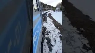 1 лосиная сила- лось против тепловоза