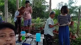 Lola Tacia Dancing Cha-cha