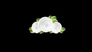 flower animation green screen free hd