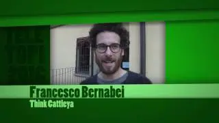 Francesco Bernabei (Think Cattleya) per Teletopi 2016