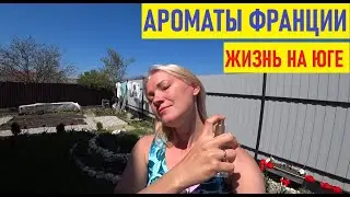 Жизнь на юге/ Ароматы Франции в станице/ Обзор дворика моей соседки