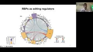 [Giovanni Quinones-Valdez] Function and Regulation of Nucleotide Variants in RNA