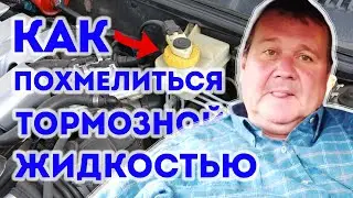 ПОХМЕЛИЛСЯ ТОРМОЗНОЙ ЖИДКОСТЬЮ