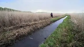 Видео о мести и справедливости