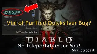 Purified Quicksilver Bug? Witch of the Wastes Act IV in Diablo IV Purified Quicksilver Teleport