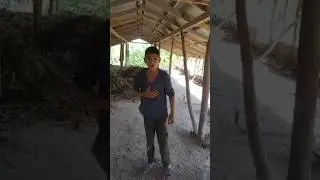 #uzbek