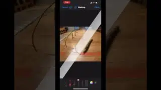 Overview of Markup Tools in iPhone Photos App