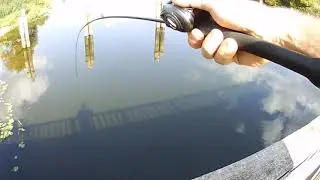 Первая рыбалка сентября!!!