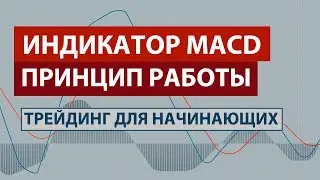 ИНДИКАТОР MACD - ПРИНЦИП РАБОТЫ / ДИВЕРГЕНЦИЯ / ТРЕЙДИНГ для НАЧИНАЮЩИХ