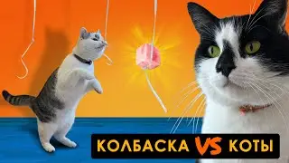 ЧЕЛЛЕНДЖ для ЖИВОТНЫХ! СОРВИ КОЛБАСКУ ЧТОБЫ ВЫЖИТЬ! КОТ МАЛЫШ VS КОШКА МУРКА КТО ПОБЕДИТ?