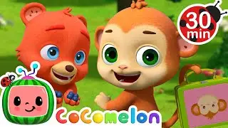 The Animal Lunch Song! | Animals for Kids | Funny Cartoons | Learn about Animals