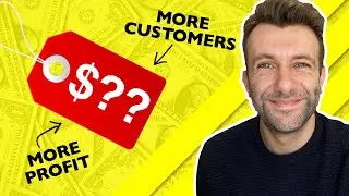 How To Choose The Right Price (Van Westendorp Pricing Model Tutorial)
