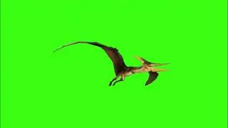 Green screen | Dinosaur | Animation | Footage | Download | №162