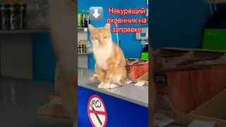 Некурящий охранник на заправке🤣🤣🤣