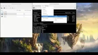 Scaling a KVM Virtual Machine Window