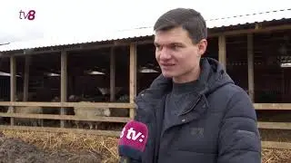La 22 de ani are o afcere cu oi