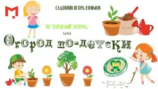 "Огород по-детски" Садовник Игорь Ефимов