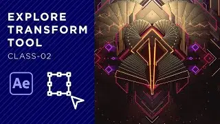How to transform layer in after effects | Basic tutorial