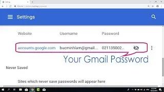 How to Show Gmail Password in Google Chrome | NETVN