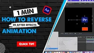 After Effects - How To Reverse and Backup An Animation