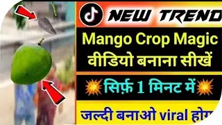 Tiktok Trend mango magic Video Tutorial | Tiktok par aam todne wala video kaise bnaye | VFX