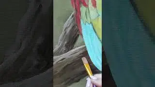 Картина маслом попугай/Oil painting Parrot 