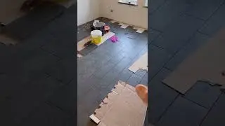 ПОЧЕМУ ПОЛ ДОРОЖЕ СТЕН? 