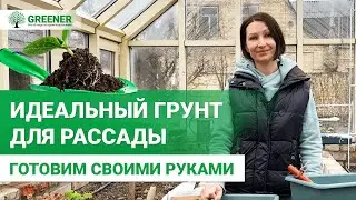 В этом грунте ВЫРАСТЕТ ЛЮБАЯ РАССАДА. Как приготовить своими руками?