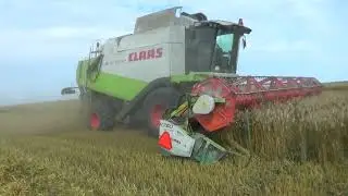 Уборка зерновых 2022 в СПК 