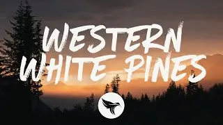 Colby Acuff - Western White Pines (Lyrics)