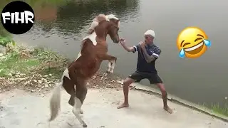TOTAL IDIOTS AT WORK 