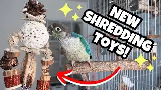 Shredding Toys - NEW From Back Zoo Nature and Zoo-Max with Northern Parrots | BirdNerdSophie AD