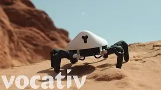 The HEXA Spider Robot Can Walk, Learn, And Give You Nightmares