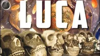 A History of Human Hybrids