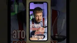 САМОЕ ТЕРРУАРНОЕ ВИНО ТОСКАНЫ Fabrizio Dionisio "Castagno"  #shorts #shortvideo