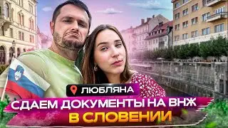 Идем продлевать ВНЖ в Словении. Школа, Авто, Цены | Влог Словения