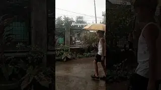 Ang Pagbuhos ng Ulan #short #shorts #shortvideos #viralvideos #shortsviral #ulan #shortmusic