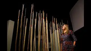 Endeavour Voyage: The Untold Stories of Cook and the First Australians