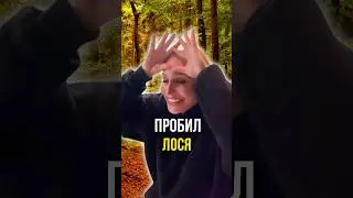 Пробил лося 🫎