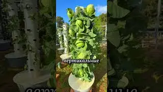 Как сделать грядку из трубы своими руками 