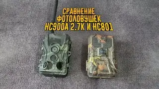 Сравнение фотоловушек HC801M и HC900A их плюсы и минусы