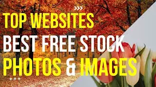 Top Websites For Best Free Stock Photos & Images - 2024