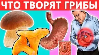 Что ТВОРЯТ с организмом ГРИБЫ?! Что будет с вашим телом, если есть их каждый день