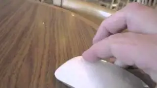 Apple Magic Mouse