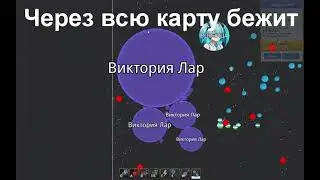 Самоуверенные виперы ушли спать.