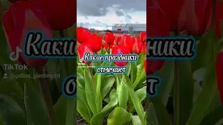 23 апреля праздники.