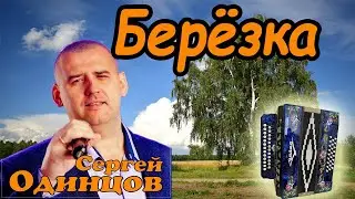 Березка С.Одинцов разбор