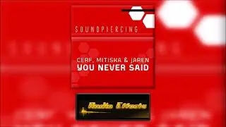 You Never Said - Cerf, Mitiska & Jaren feat. Dash Berlin (Remix) (Radio Edit)