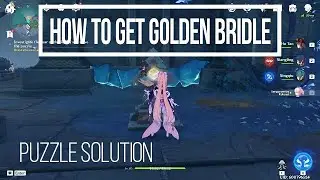 How to investigate the rear of the library and solve the puzzle - Golden Bridle - Genshin Impact